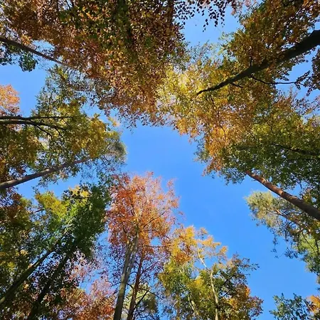 Διαμέρισμα Tolles In Der Seenplatte Rechlin